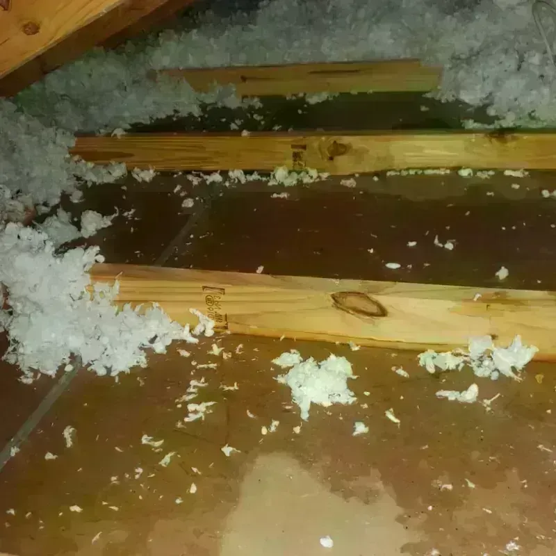 Attic Water Damage in Hope, IN