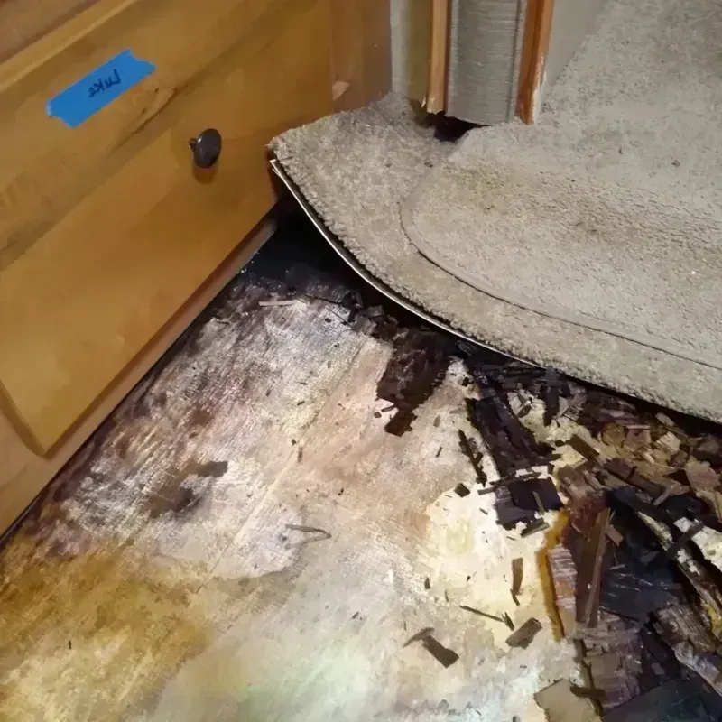 Wood Floor Water Damage in Hope, IN